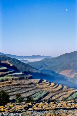 China (Yunnan) - Winter Morning In Upper Ailaoshan