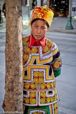 China (Sichuan) - By The Tree