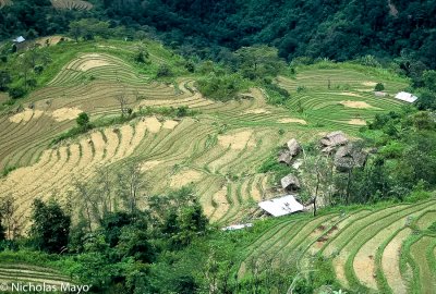 Vietnam (Lai Chau) - Winter Terraces