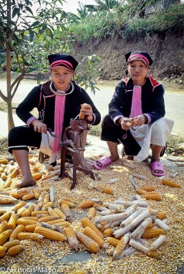 Vietnam (Lai Chau) - Removing Kernels From Corn Cobs 