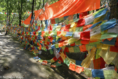 China (Sichuan) - Prayer Flags At Radtanling Stupa