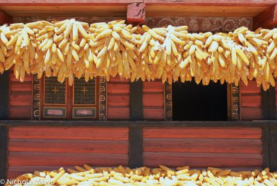 China (Sichuan) - Corn Cobs Hanging from Eaves