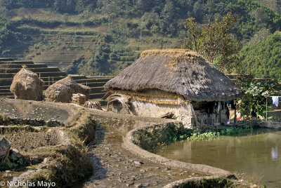 China (Yunnan) - Mud Walled Thatched House Of Hani