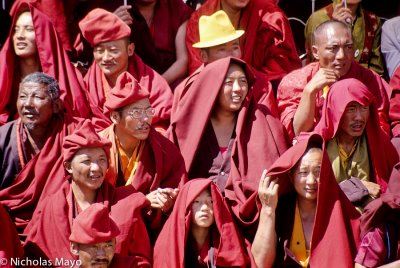 China (Qinghai) - Watching