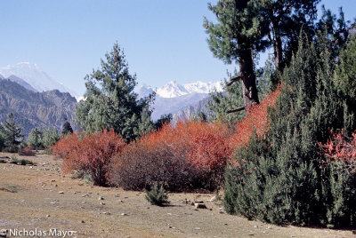 Nepal (Annapurna Himal) - Autumn
