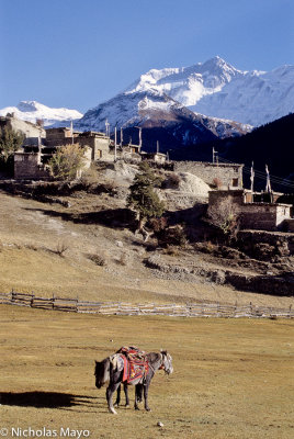 Nepal (Annapurna Himal) - Chulu Peaks
