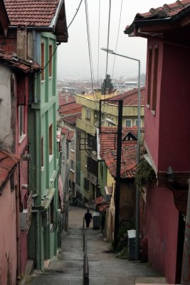 IMG_4117.jpg
