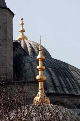 IMG_4150.jpg
