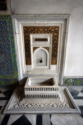 IMG_4206.jpg