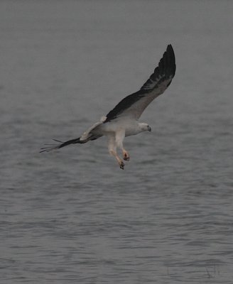 Kaudulla National Park