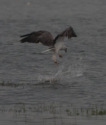 Kaudulla National Park