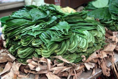 Betel leaves, Kandy