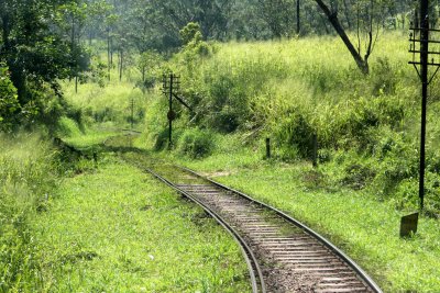 Kandy to Nuwara Eliya rail journey