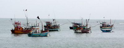 Fishing fleet at anchor
