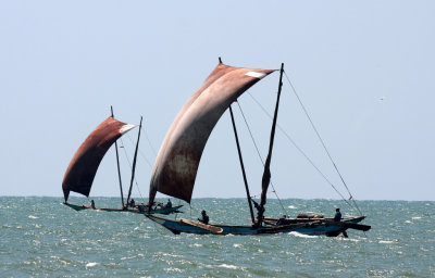 Traditional Outrigger Fishing Boats Negombo, Sri Lanka