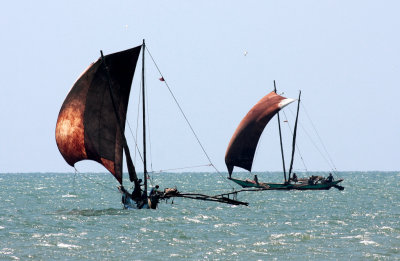 Traditional Outrigger Fishing Boats Negombo, Sri Lanka