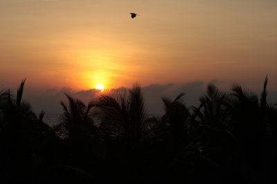 View from our room at sunset, Jetwing Beach Hotel, Ethukala, Negombo, Sri Lanka