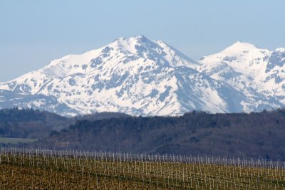 Domaine St George 24.jpg