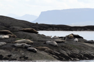 Eigg from Scavaig 1