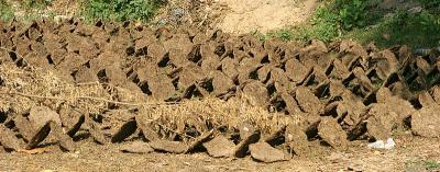 Neat pile of dung