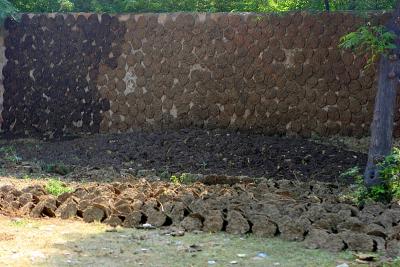 Neat piles of dung drying on wall