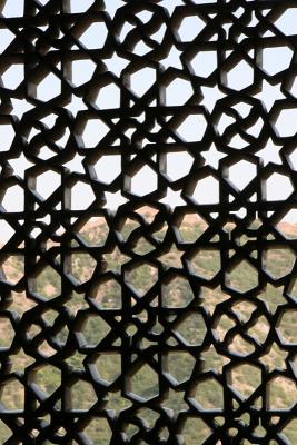 Screen at Amber Fort