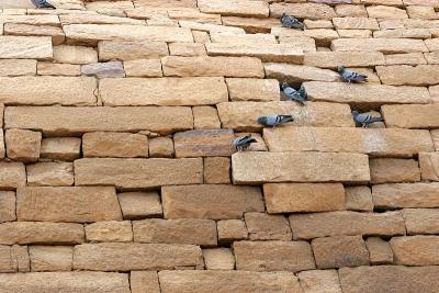 Pigeons have a rest, Jaisalmer Fort