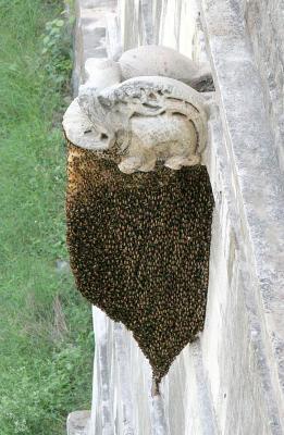 Beehive, Jain Temple Complex, Ranakpur