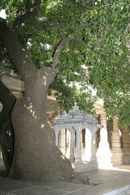 Jain Temple Complex, Ranakpur