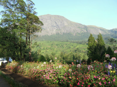 Highest Mountain in S India from Tallayar Bungalow (RT)