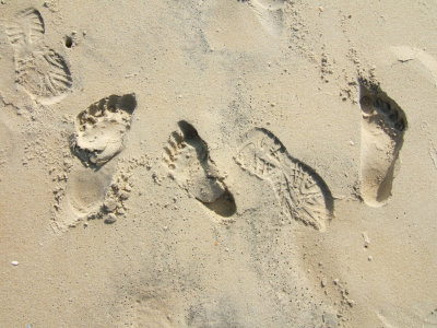 International footprints (RT)