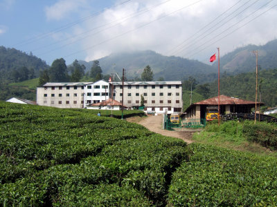 Talayar Tea Factory (RT)