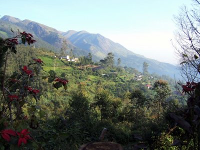 View from Talayar Bungalow  (RT)