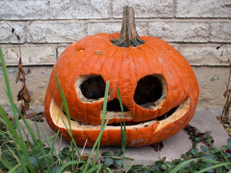Halloween + 17 Days