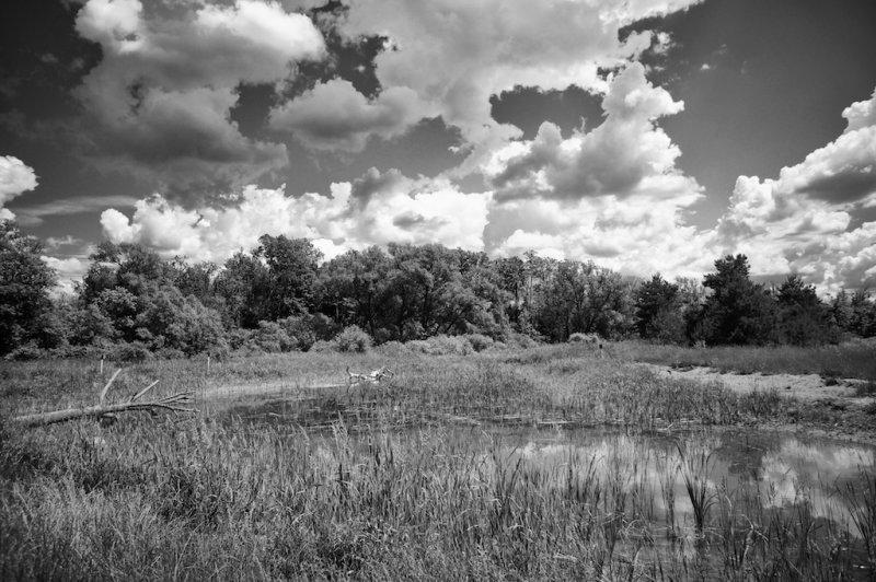 Small Pond