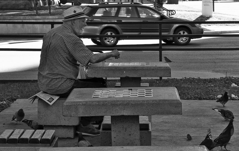 Man vs. Sparrow