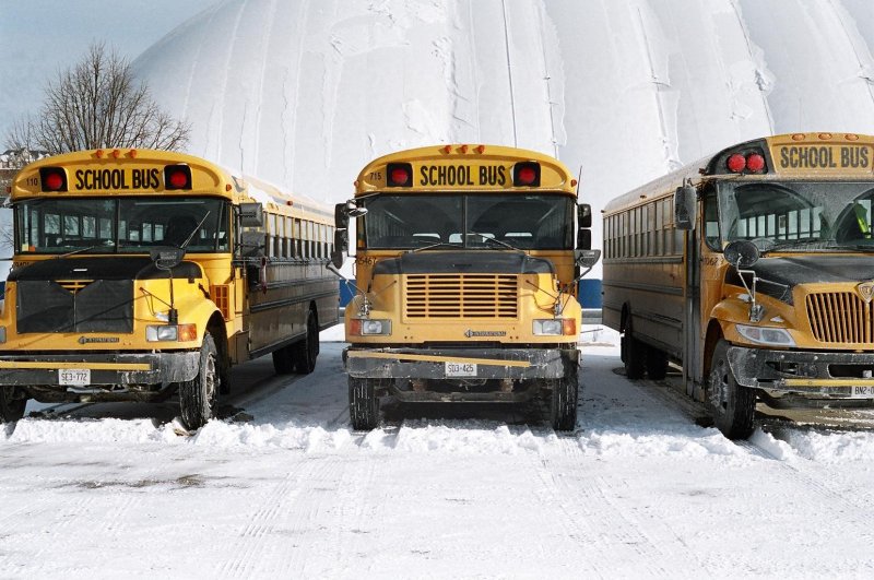 Three buses