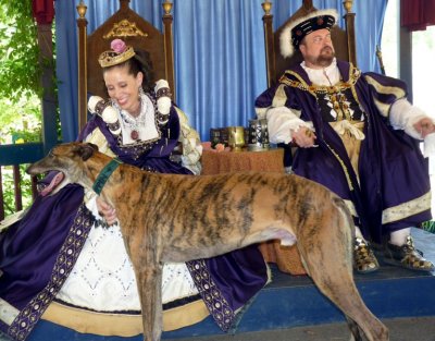 royal hound 1.JPG