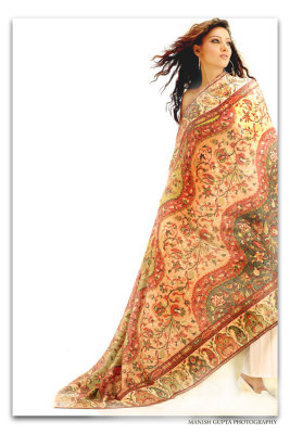 shipra-shawl-2.jpg