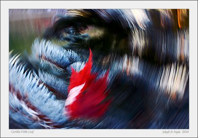 Gorilla With Leaf