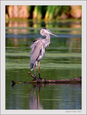 Tamron 1.4x