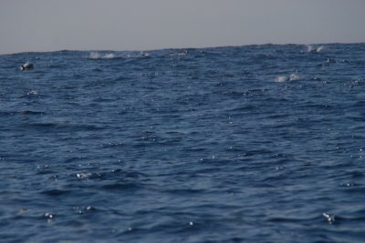 g4/63/295863/3/137738174.a7WdaAU2.jpg