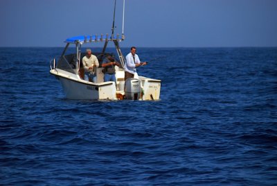 g4/63/295863/3/137738179.1SzfqGGn.jpg