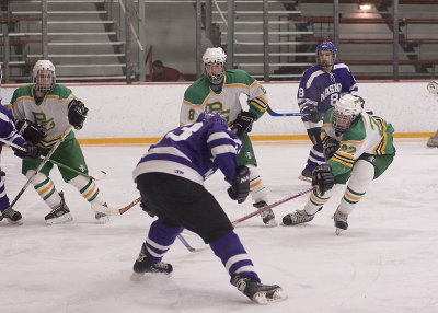 Defending the blue line.jpg