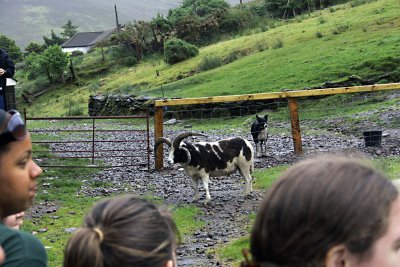 07_Ireland_England_5X70050.jpg