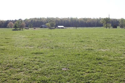 view of house from top of pasture 2