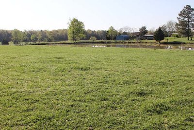 pond at top of pasture 2
