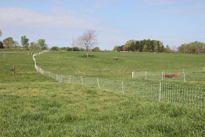 view from barn to pasture 2