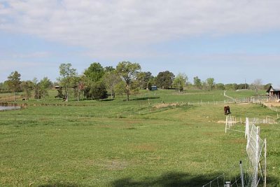 view of pasture 3 towards barn