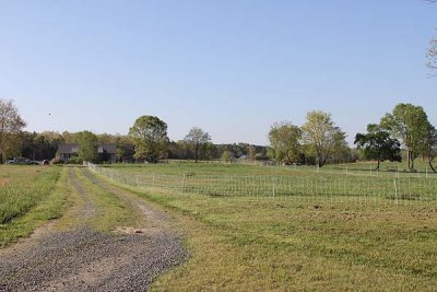 driveway to house